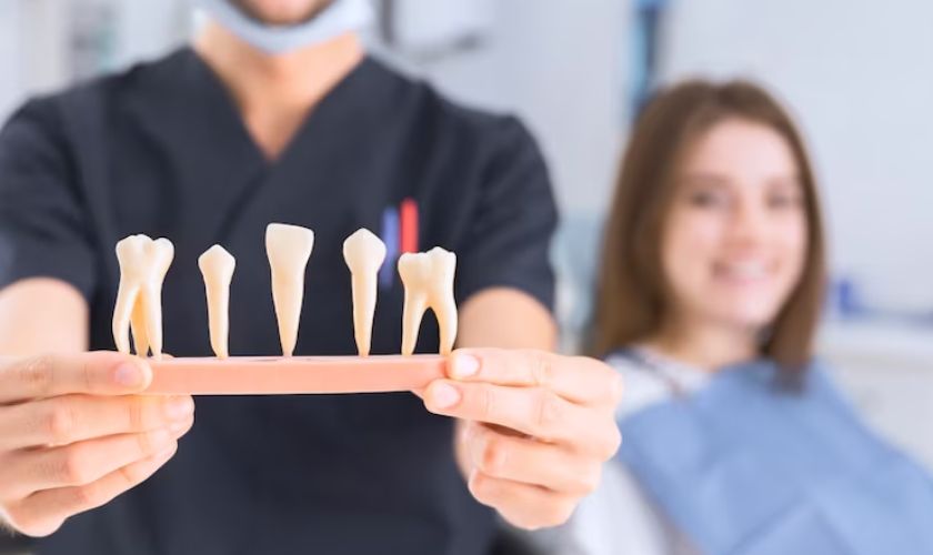 Dental Crowns and Bridges In Chicago